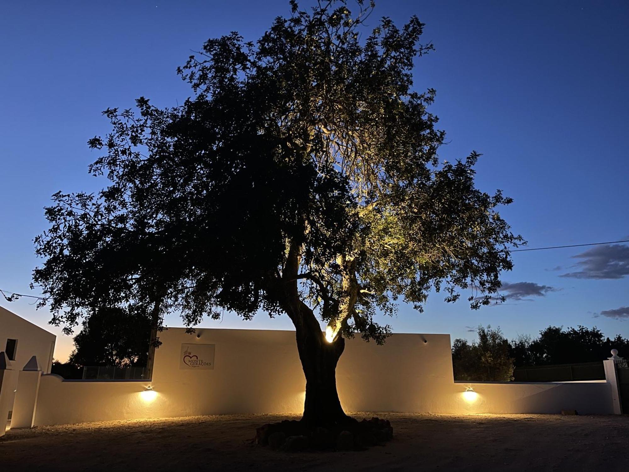 Monte Geracoes - Heated Pool - Typical Algarvian - Close To Quinta Lago, Vale Lobo And Vilamoura Almancil Bagian luar foto